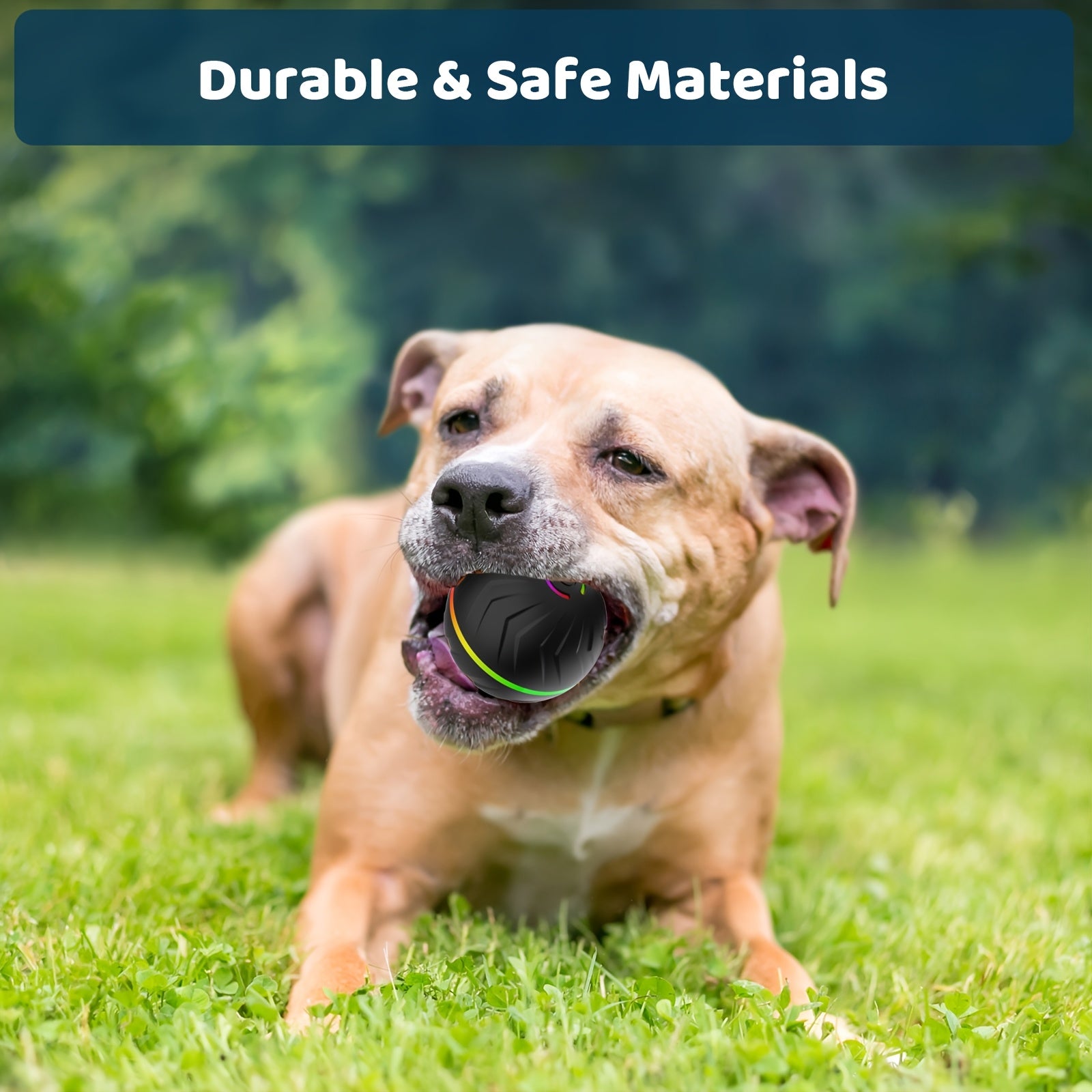 PetGravity™ Smart Motion Interactive Dog Ball – USB Rechargeable