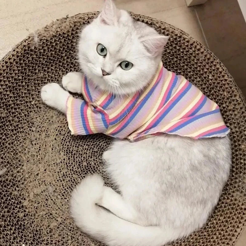 Colorful Stripe Cat Vest Shirt for Small Cats & Puppies – Cotton Pet Clothing