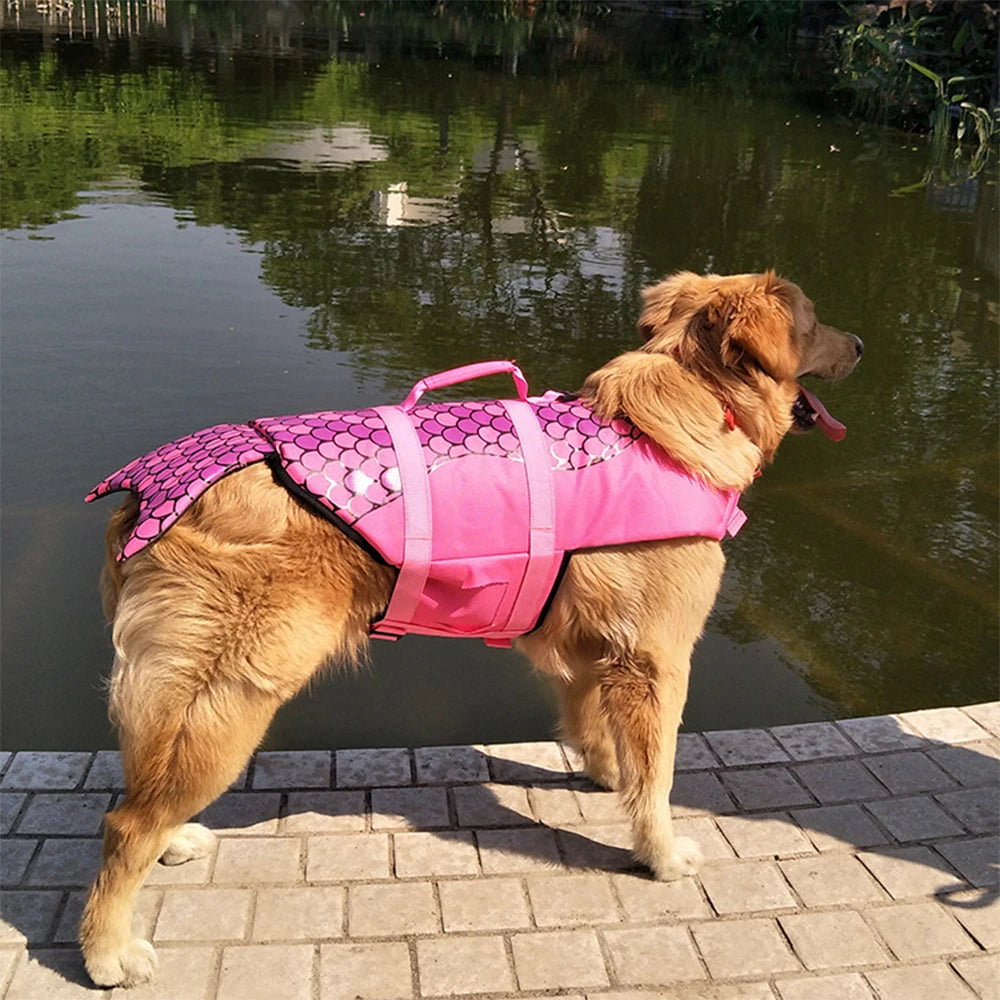Dog Life Jacket for Swimming | SharkFloat™ | Bark&Whiskers