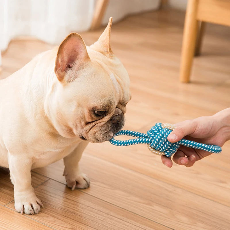 Cotton Rope Dog Chew Toy Interactive Dental Cleaning Toy for Small Medium Large Dogs