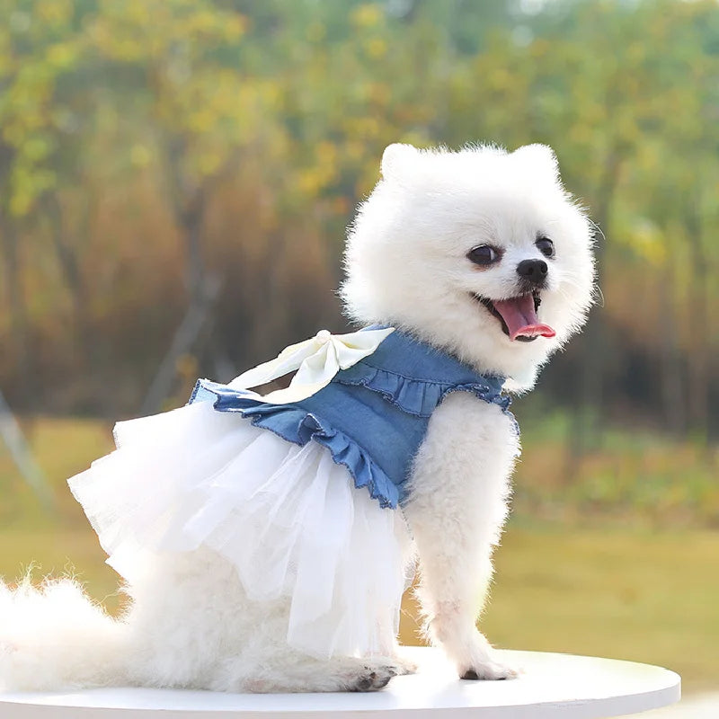 Cute Denim Dog Dress for Small Dogs – Summer Princess Outfit for Pomeranian & Chihuahua