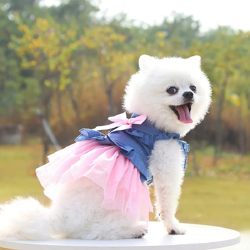 Cute Denim Dog Dress for Small Dogs – Summer Princess Outfit for Pomeranian & Chihuahua