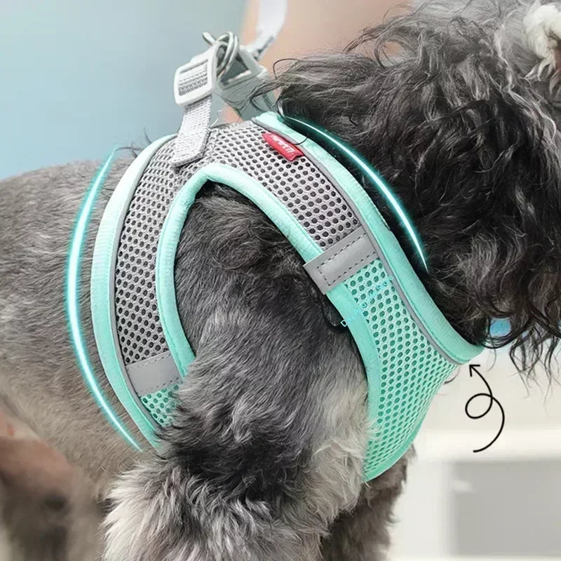 No-Pull Dog & Cat Harness & Lead Set | Adjustable Reflective Vest