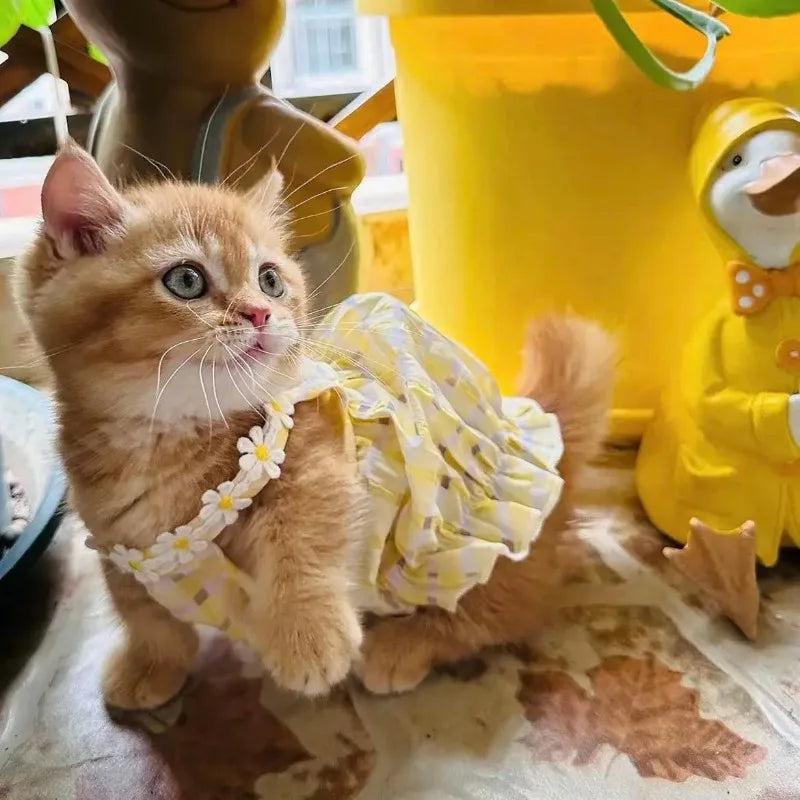 Cute Plaid Pet Summer Vest Breathable Outfit for Cats and Small Dogs Stylish Instagram Look