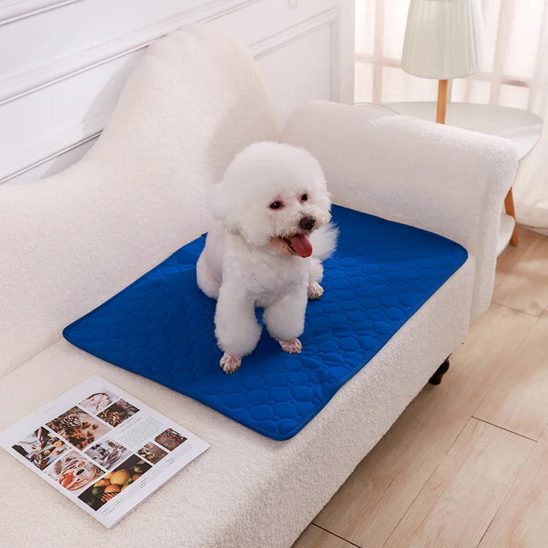 Reusable Dog Pee Pad | Waterproof Absorbent Training Mat