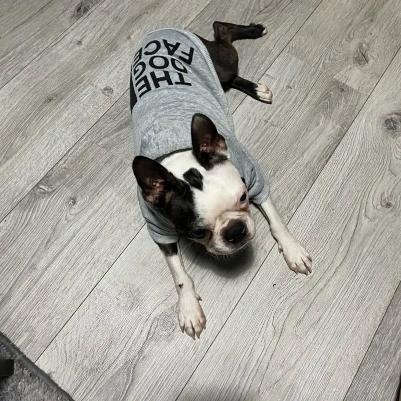 Dog Hoodie Jacket Warm Cotton Coat for Small Medium Large Dogs Winter Pet Clothes