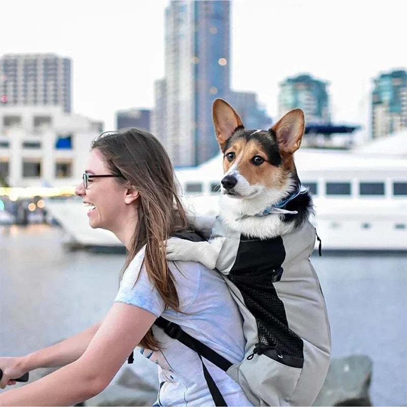 Heavy Duty Dog Carrier Backpack | Strong Breathable Pet Backpack for Medium Dogs