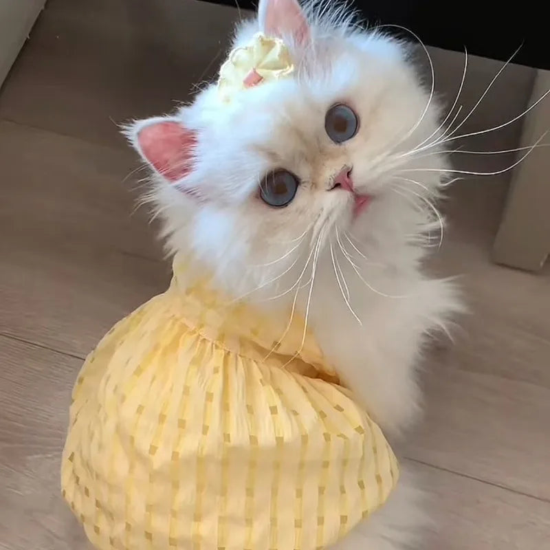 Cute Plaid Pet Summer Vest Breathable Outfit for Cats and Small Dogs Stylish Instagram Look