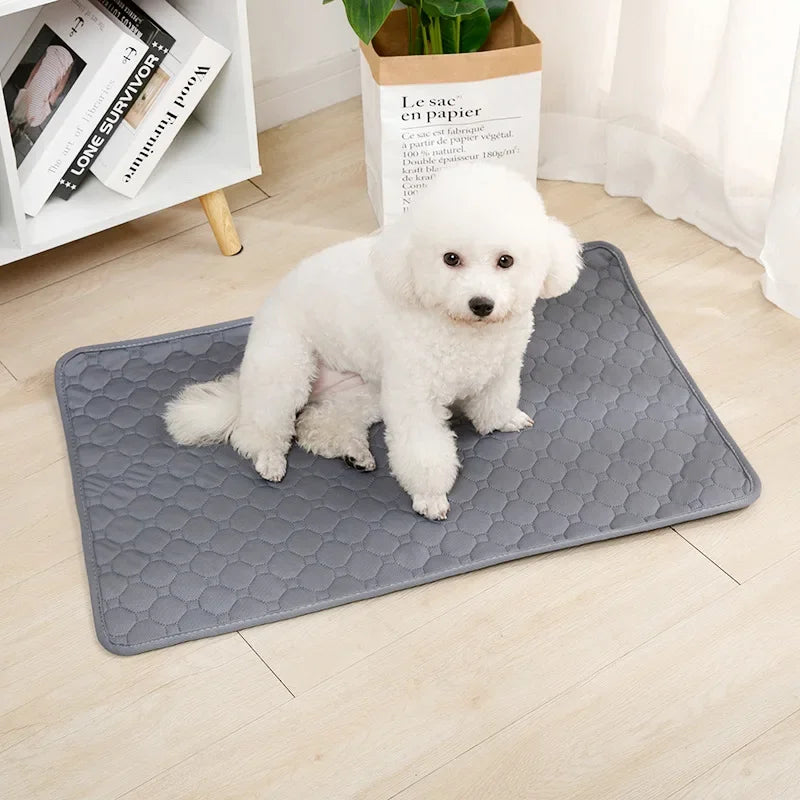 Reusable Dog Pee Pad | Waterproof Absorbent Training Mat