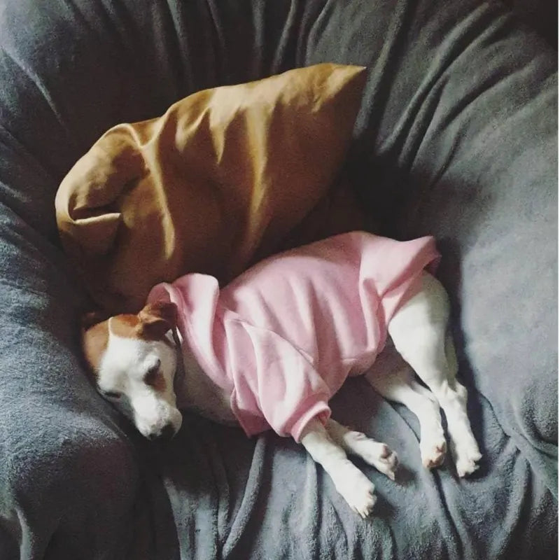 Dog Hoodie Jacket Warm Cotton Coat for Small Medium Large Dogs Winter Pet Clothes