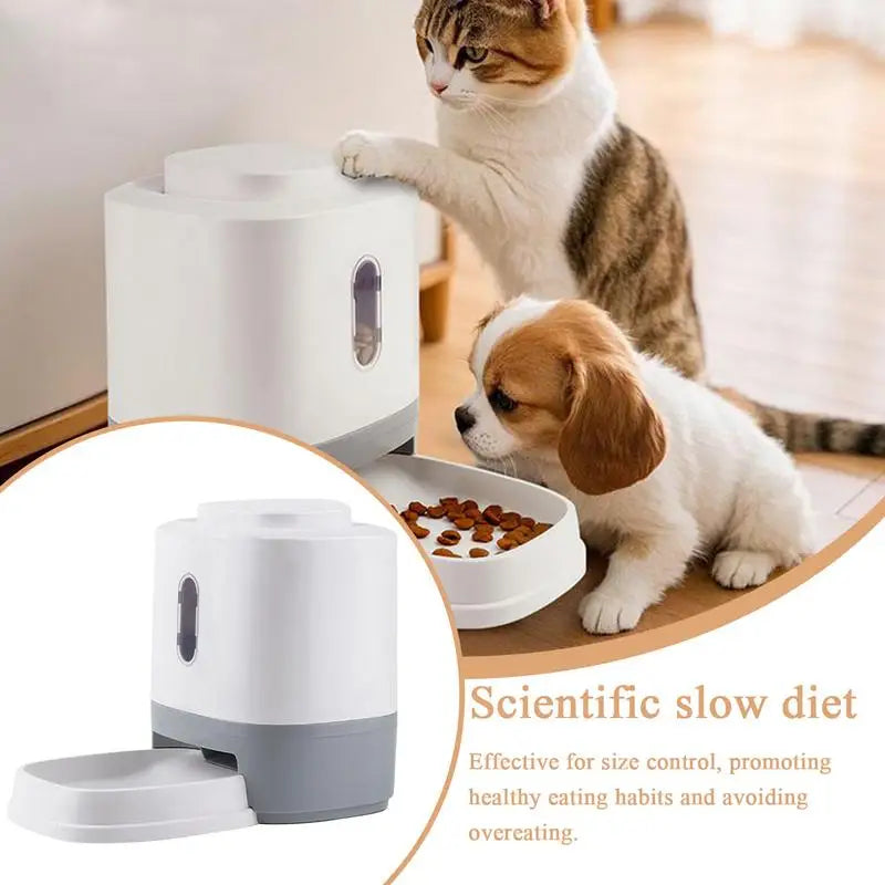 Interactive Pet Food Dispenser 1.5L | Press Treat Feeder with Bow