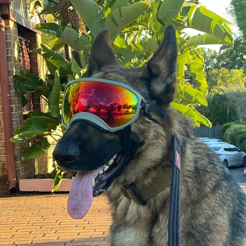 Dog Ski Goggles Anti Fog UV Protection Windproof Adjustable Pet Sunglasses
