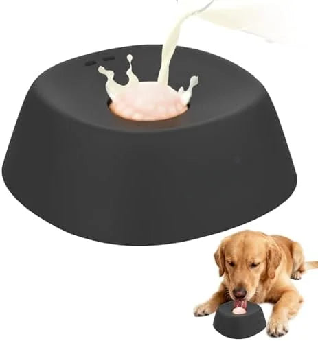 Anti-Choke Slow Feeder Dog Bowl | Non-Slip Healthy Feeding Bowl for Dogs