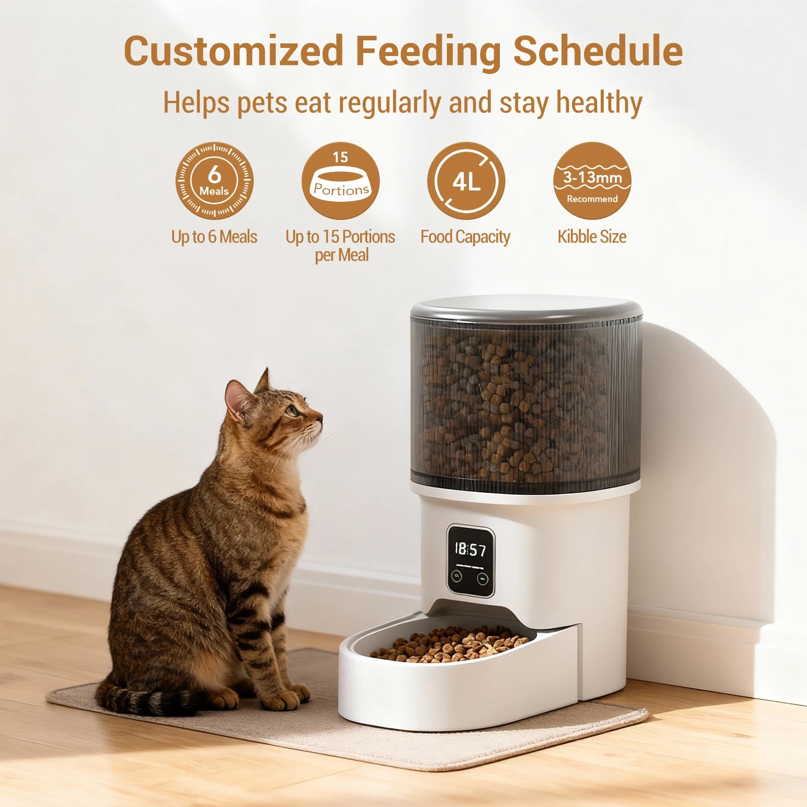 4L Automatic Pet Feeder with Timer | Cat & Dog Food Dispenser