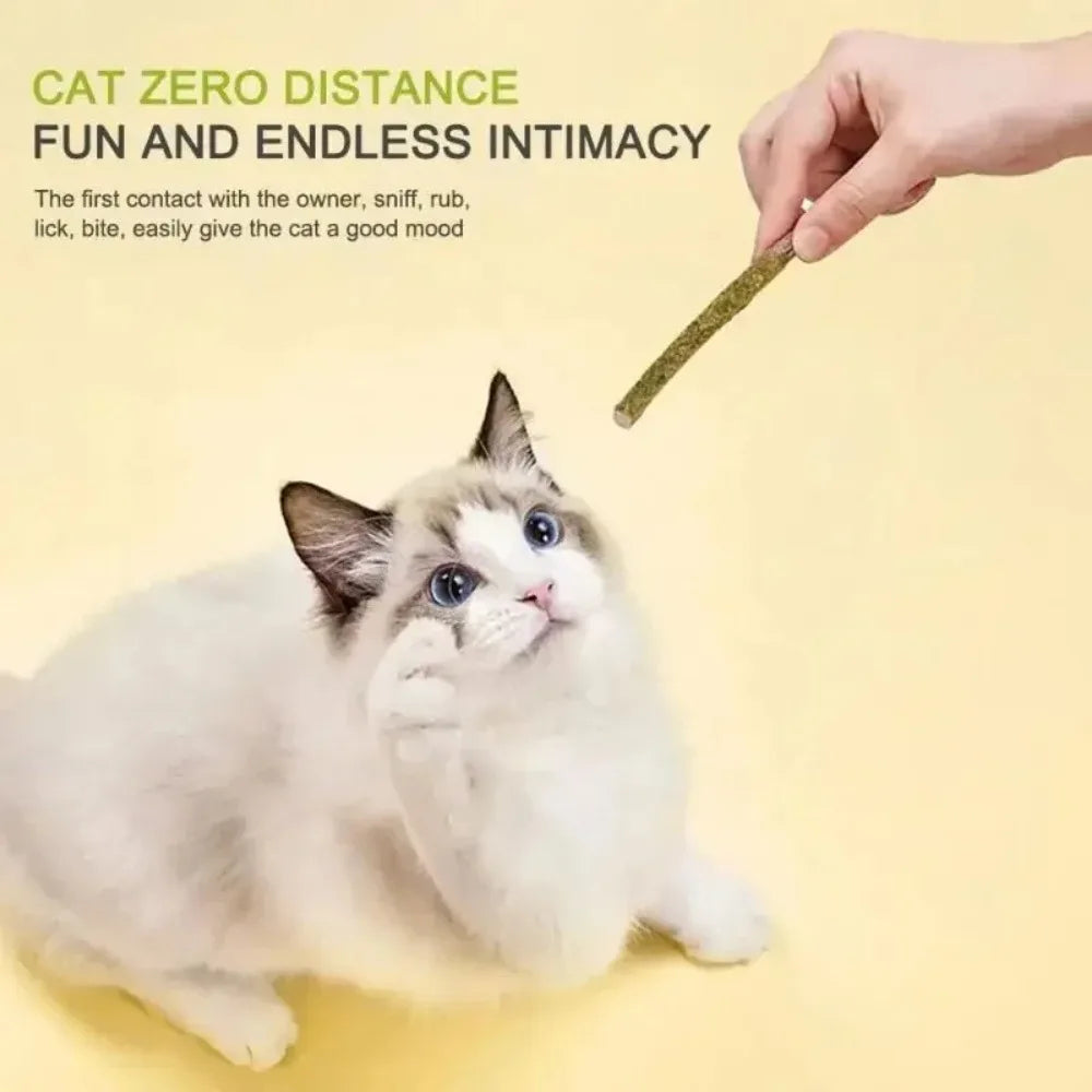 Silvervine Cat Sticks for Teeth Cleaning | Natural Cat Chew Toys UK