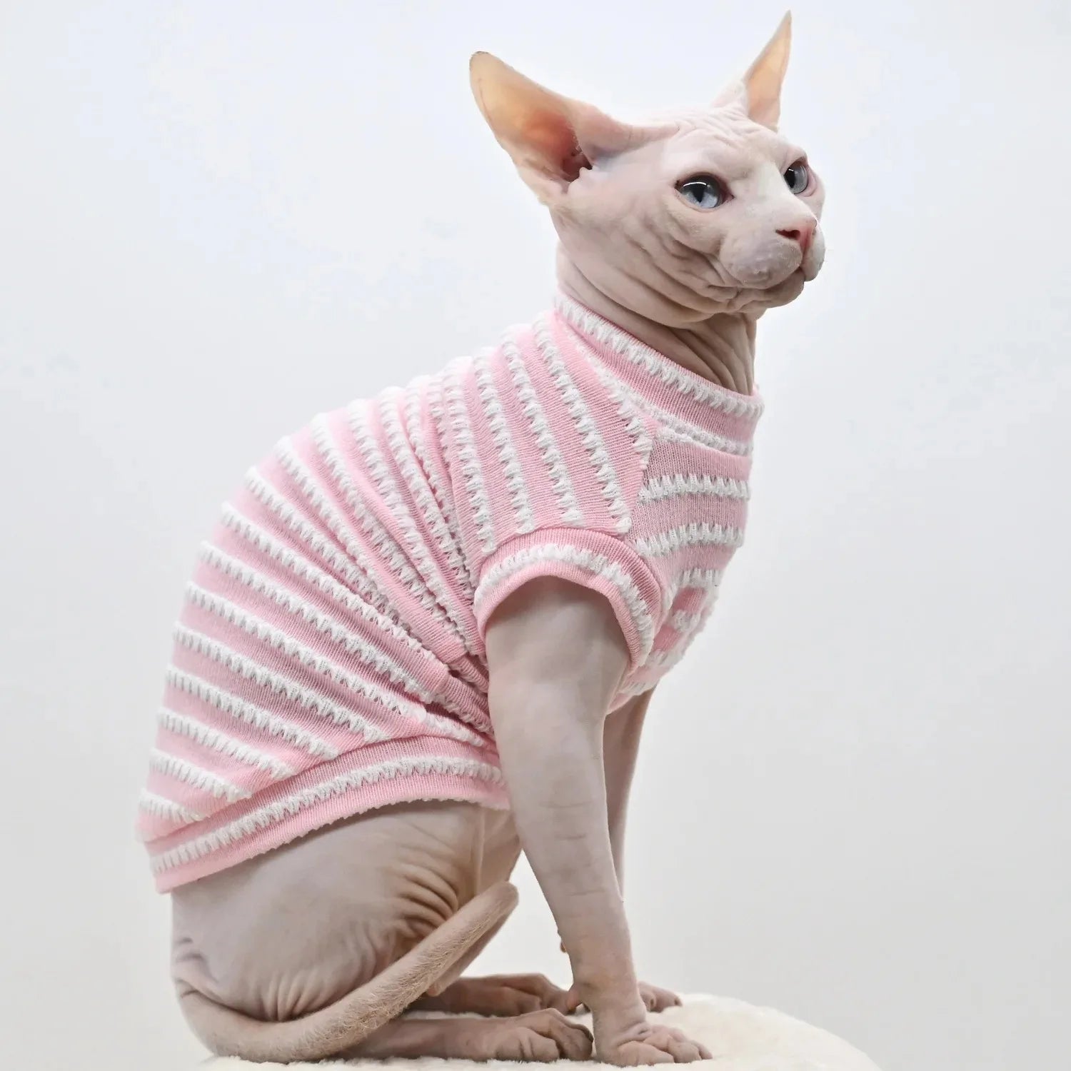 Striped Summer Vest Shirt for Sphynx Cats – Breathable Pet Clothing for Kittens