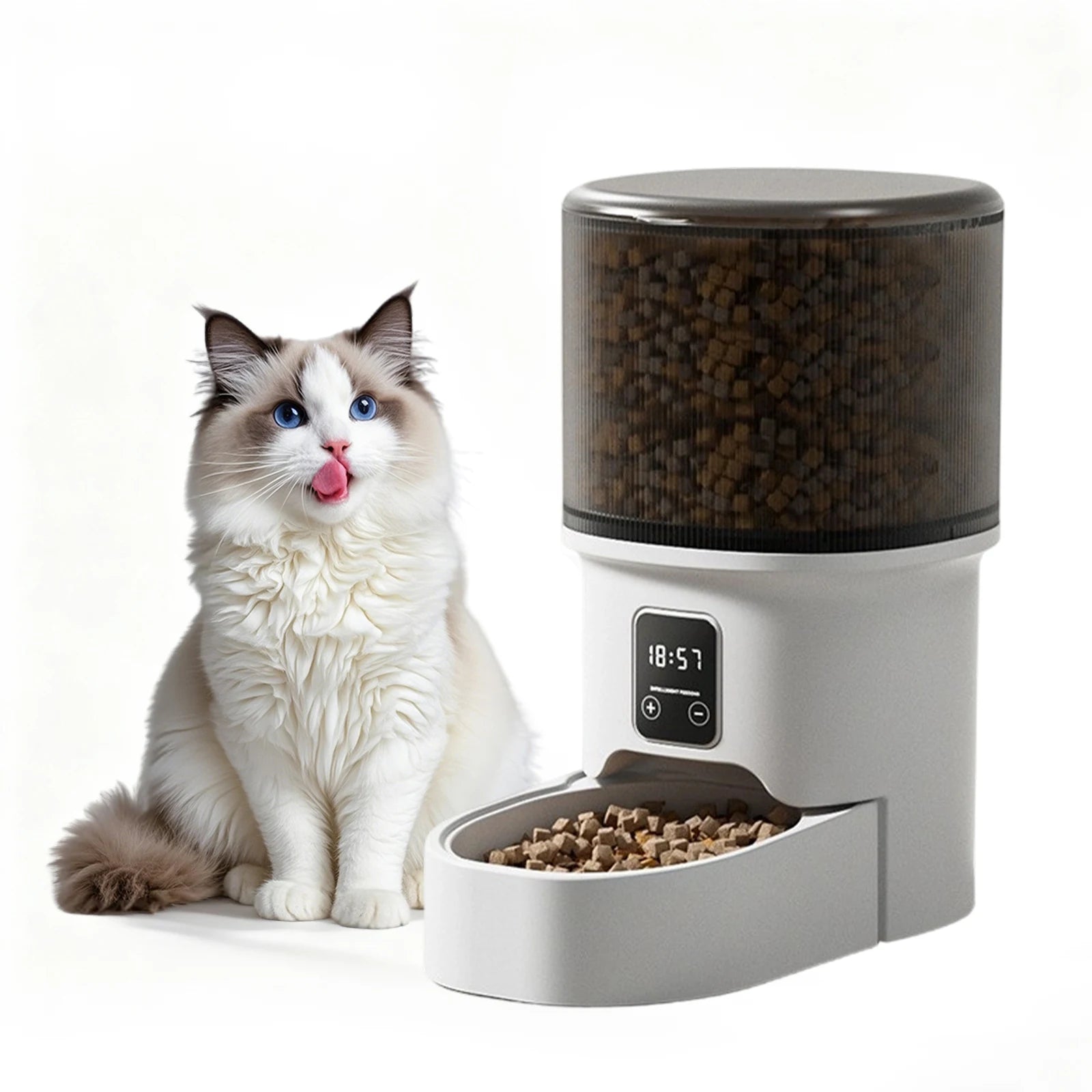 4L Automatic Pet Feeder with Timer | Cat & Dog Food Dispenser