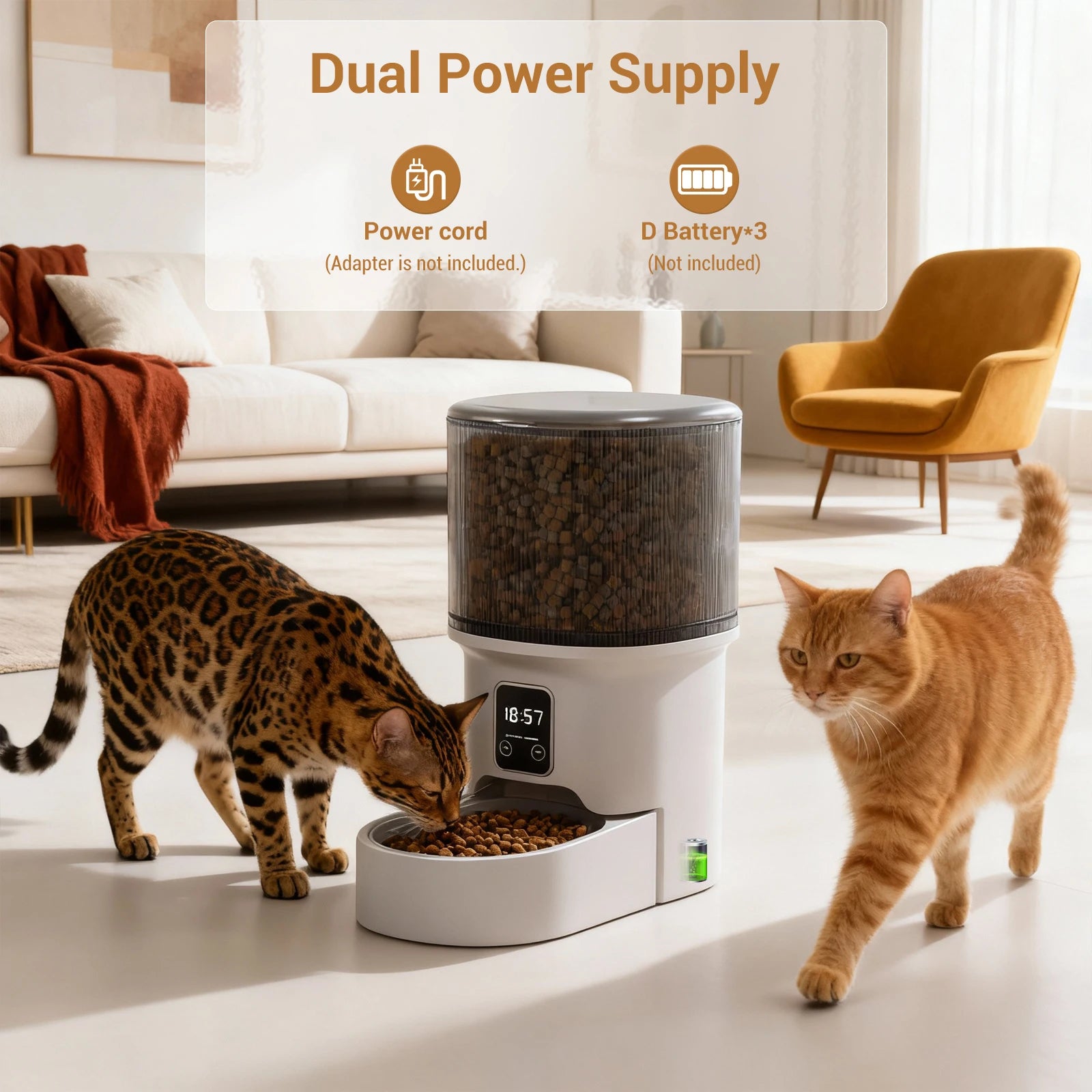 4L Automatic Pet Feeder with Timer | Cat & Dog Food Dispenser