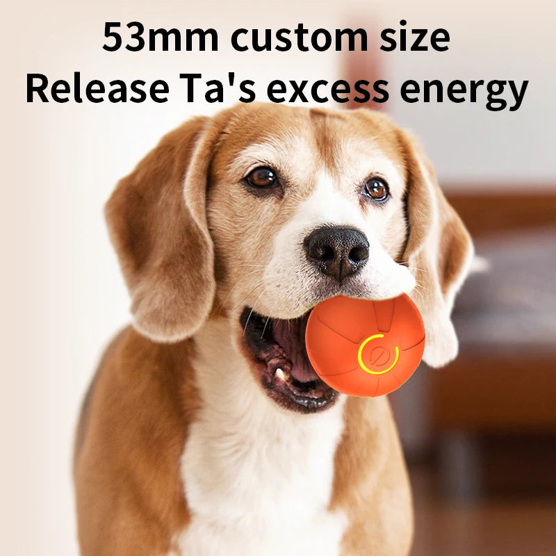 Automatic Dog Ball Toy | Interactive Moving Dog Toy UK