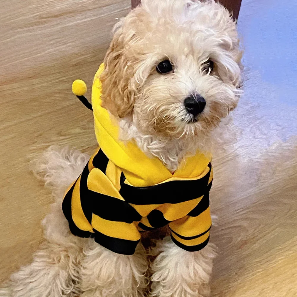 Dog Cat Bee Costume Hoodie Warm Fleece Pullover Cute Outfit for Small Medium Pets