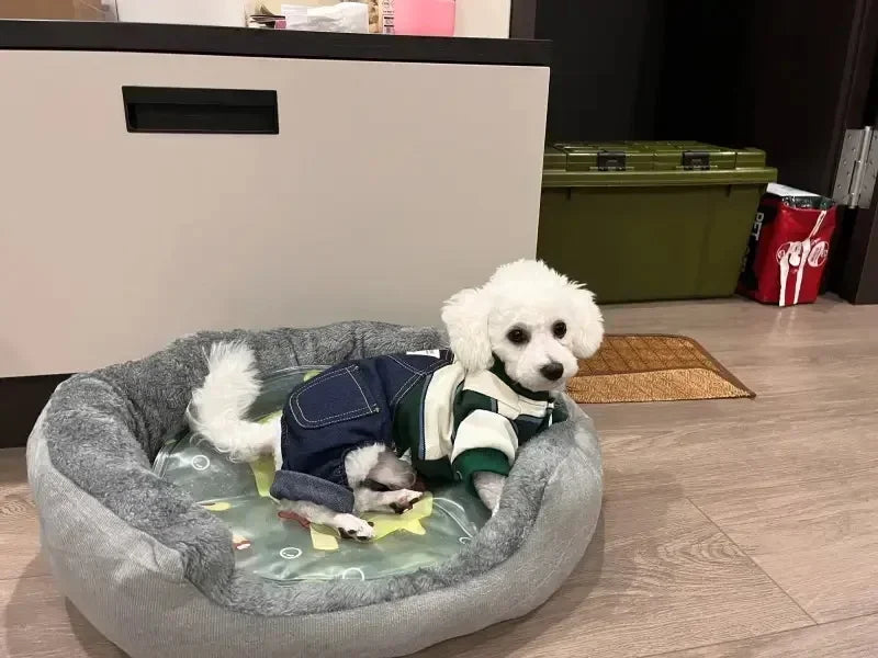 Luxury Cotton Pet Bed for Dogs & Cats – Comfortable, Breathable & Easy to Clean