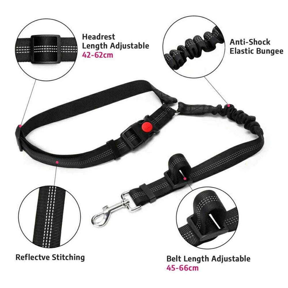 Dog Car Seat Belt UK | Adjustable Safety Harness for Travel