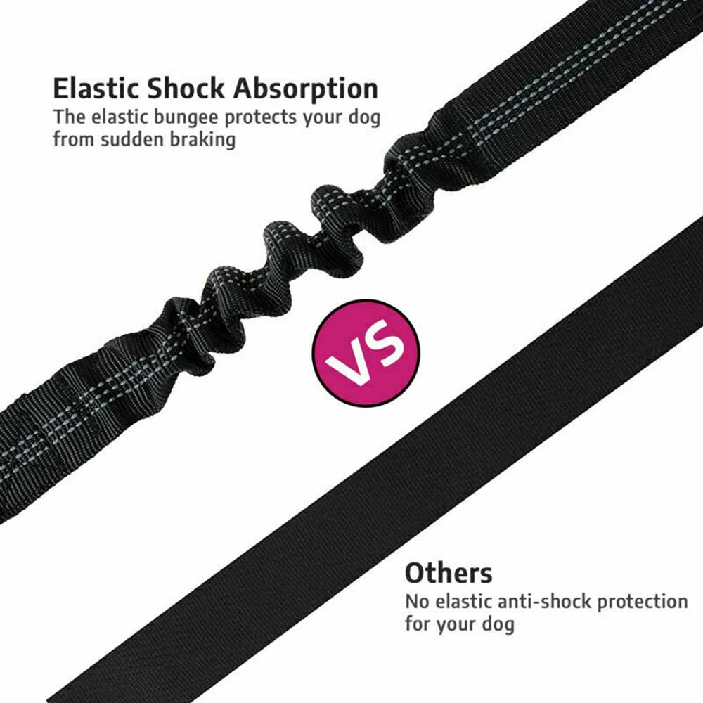 Dog Car Seat Belt UK | Adjustable Safety Harness for Travel