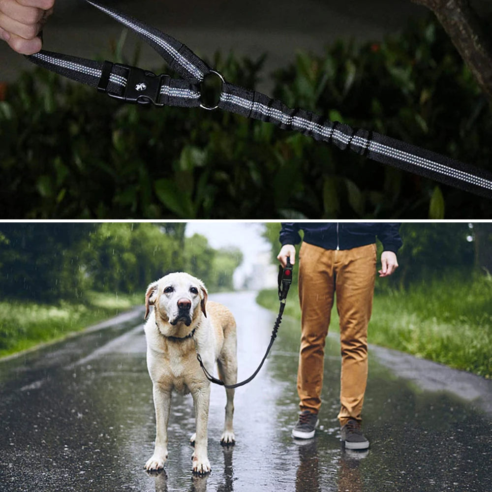 Dog Car Seat Belt UK | Adjustable Safety Harness for Travel