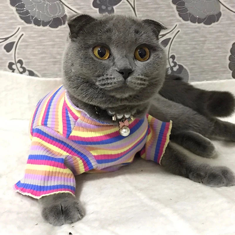 Colorful Stripe Cat Vest Shirt for Small Cats & Puppies – Cotton Pet Clothing