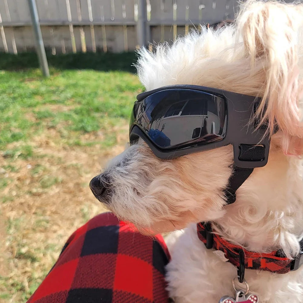 Dog Goggles Anti UV Adjustable Sunglasses for Small Medium Dogs Outdoor