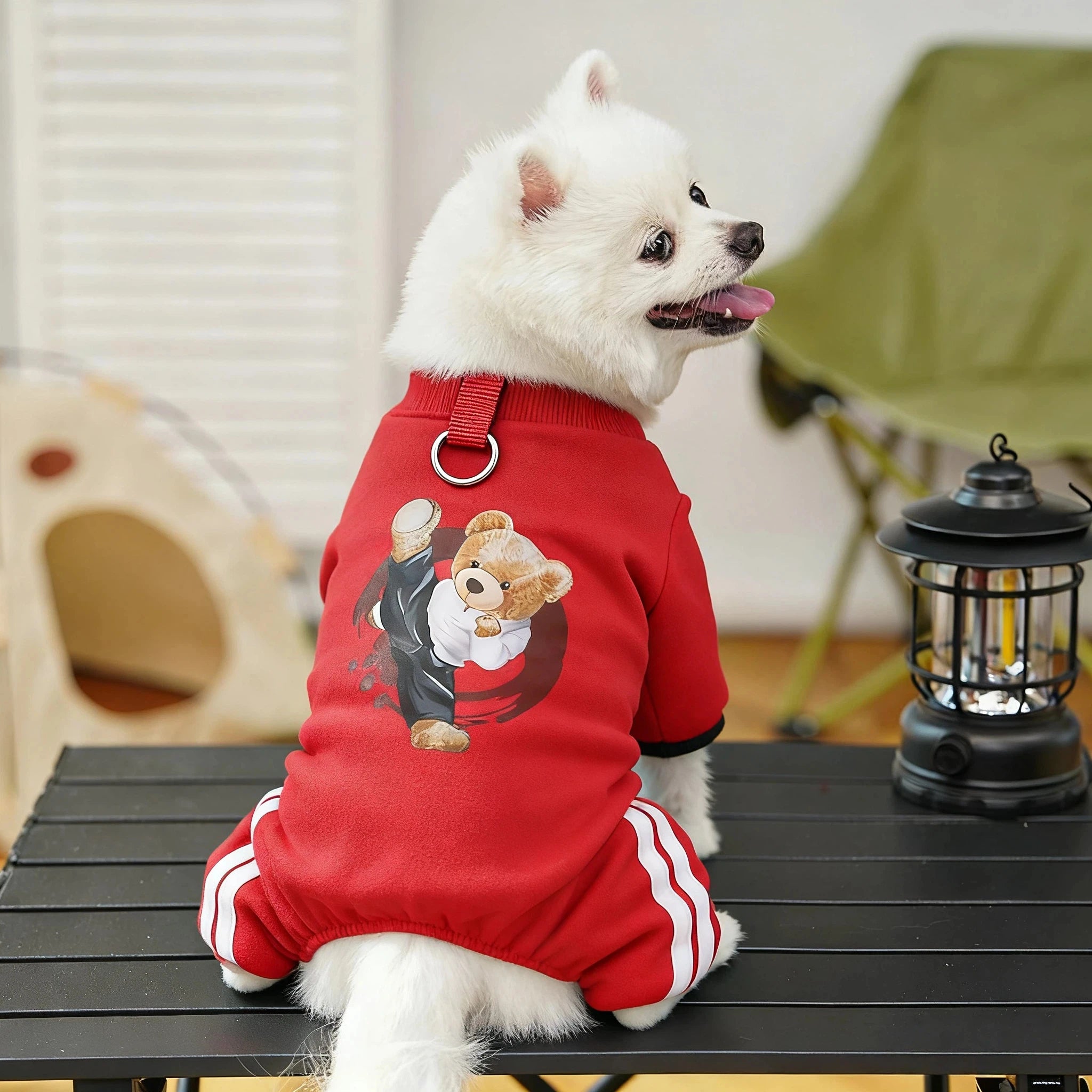 Dog Winter Jumpsuit Warm Fleece Hoodie Outfit for Small Medium Dogs Puppy Clothes