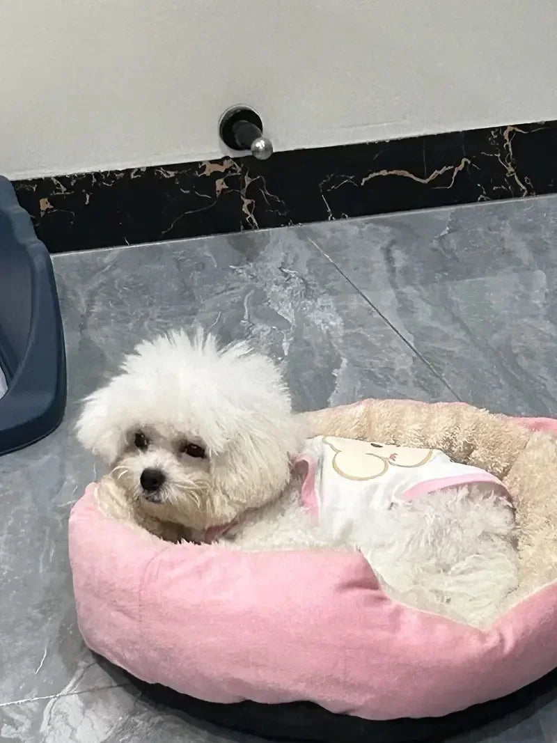 Luxury Cotton Pet Bed for Dogs & Cats – Comfortable, Breathable & Easy to Clean