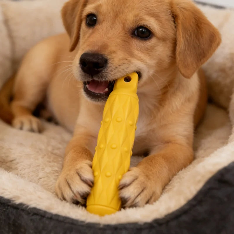 Indestructible Dog Chew Toy UK | Tough EVA Bite Stick for Dogs