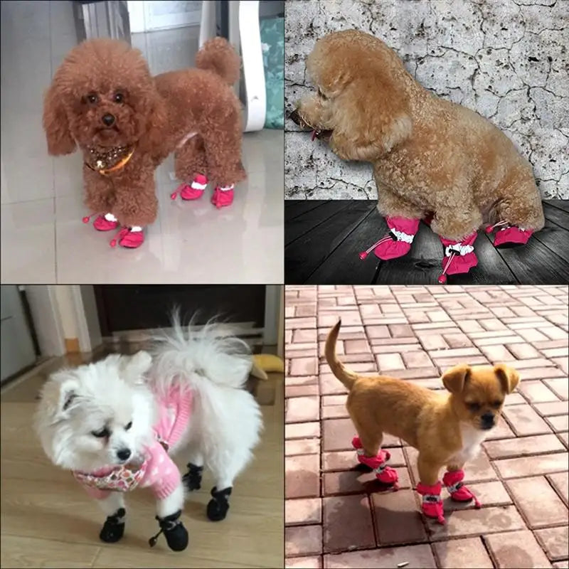 Waterproof Dog Boots UK | Anti-Slip Rain Shoes for Small Dogs