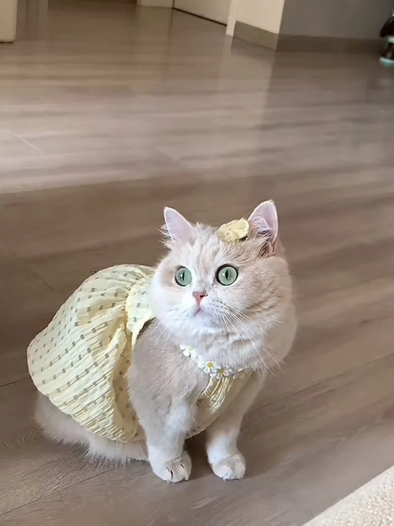 Cute Plaid Pet Summer Vest Breathable Outfit for Cats and Small Dogs Stylish Instagram Look
