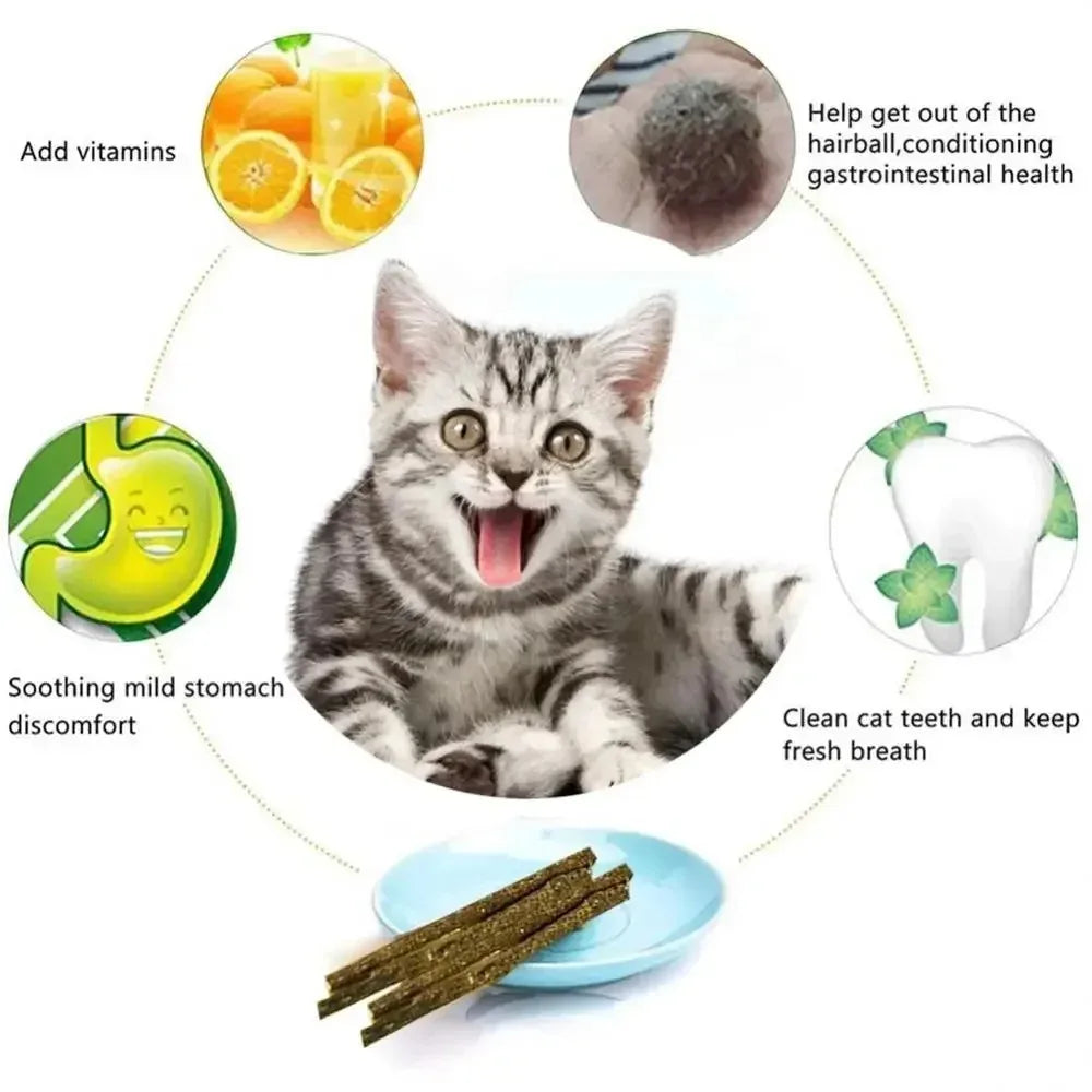 Silvervine Cat Sticks for Teeth Cleaning | Natural Cat Chew Toys UK