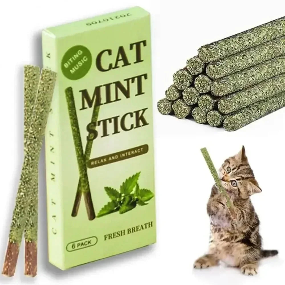 Silvervine Cat Sticks for Teeth Cleaning | Natural Cat Chew Toys UK
