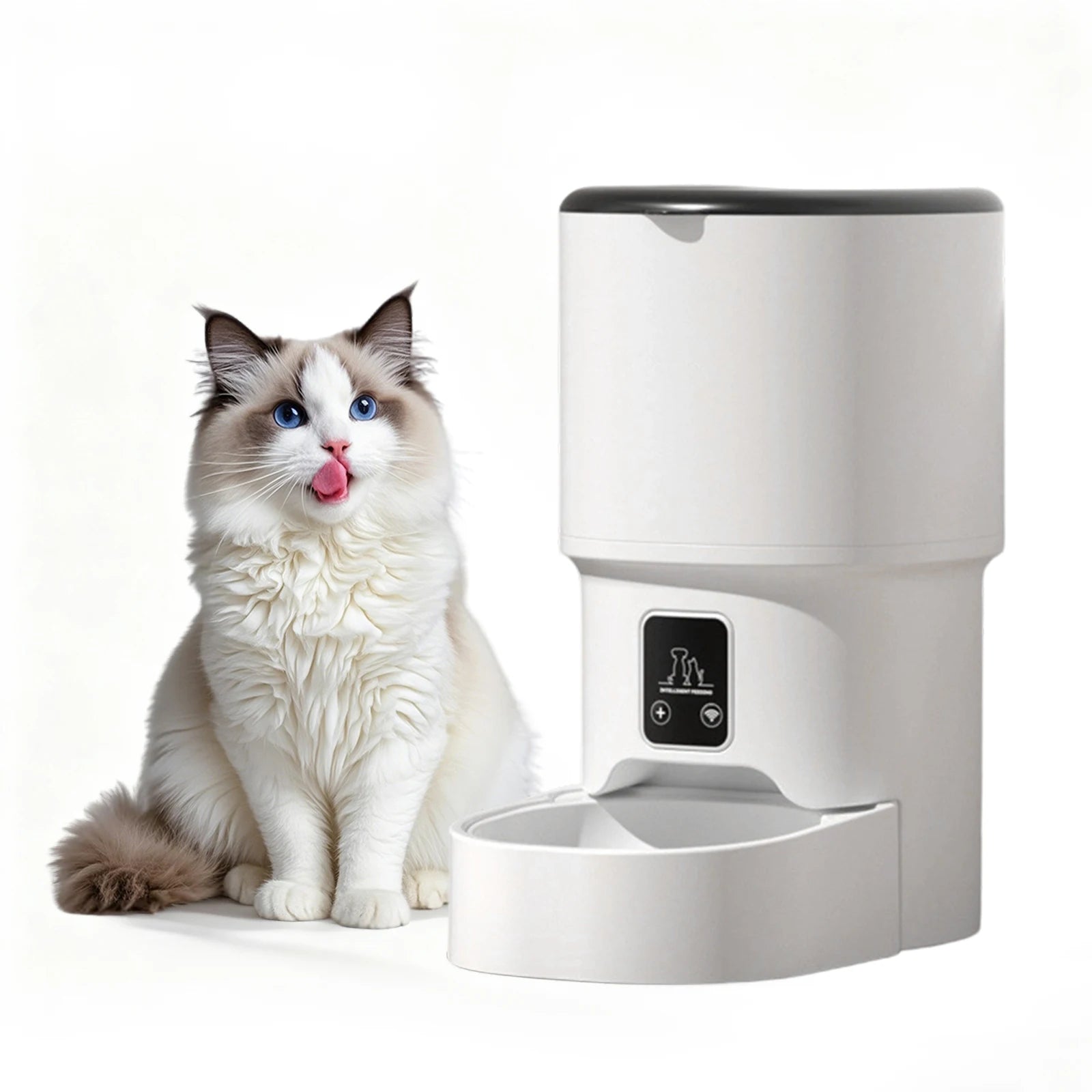 4L Automatic Pet Feeder with Timer | Cat & Dog Food Dispenser
