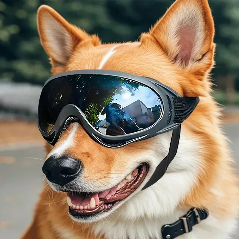 Dog Goggles Anti UV Windproof Adjustable Sunglasses for Outdoor Protection