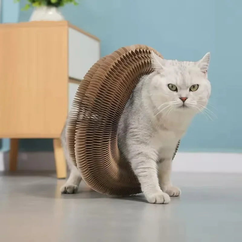 Cat Scratching Board with Ball Interactive Corrugated Scratch Toy for Cats