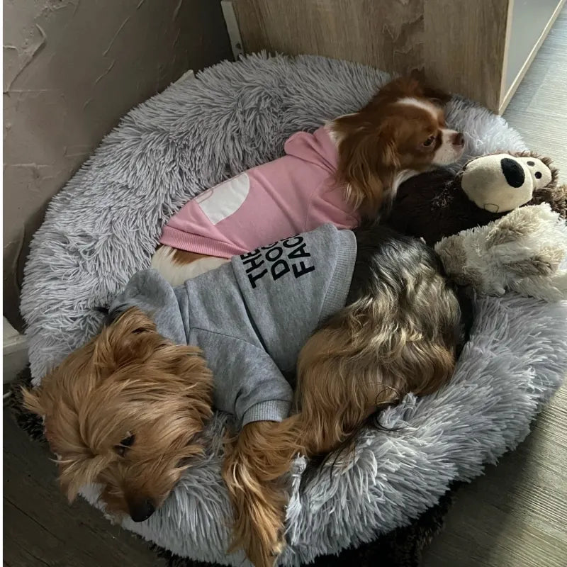 Dog Hoodie Jacket Warm Cotton Coat for Small Medium Large Dogs Winter Pet Clothes