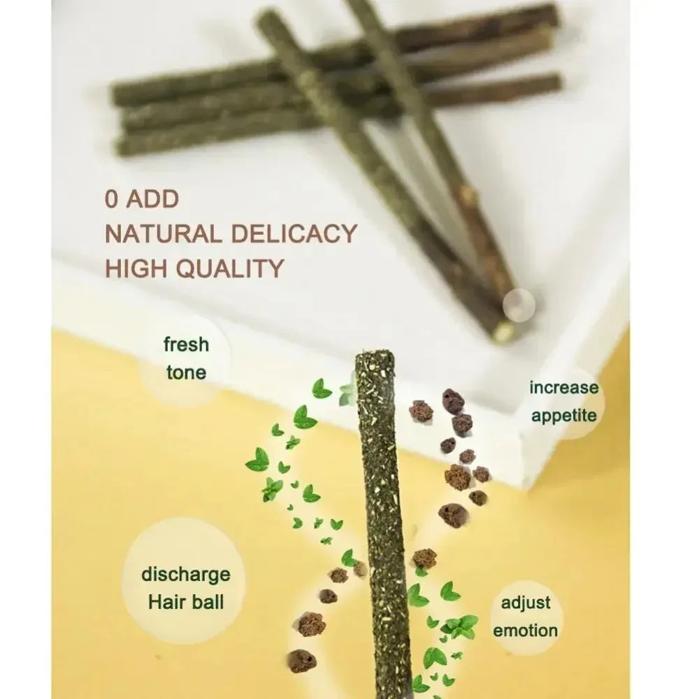 Silvervine Cat Sticks for Teeth Cleaning | Natural Cat Chew Toys UK