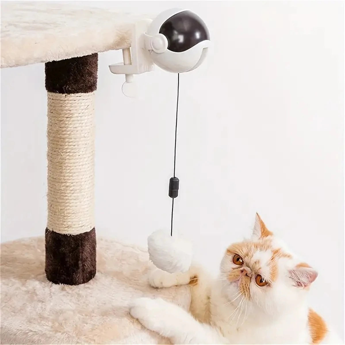 Smart Cat Ball Toy