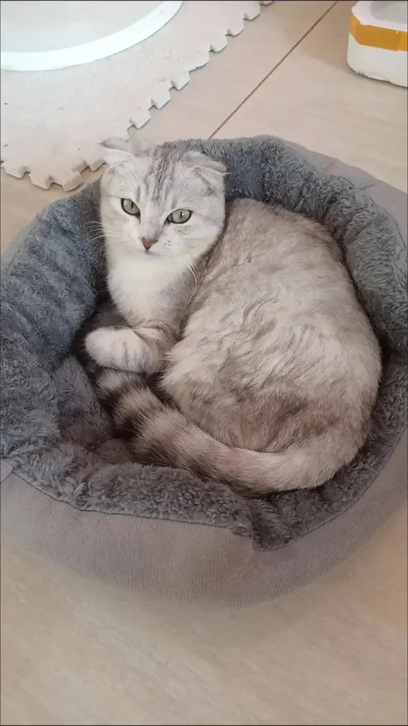 Luxury Cotton Pet Bed for Dogs & Cats – Comfortable, Breathable & Easy to Clean