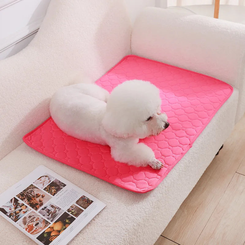 Reusable Dog Pee Pad | Waterproof Absorbent Training Mat