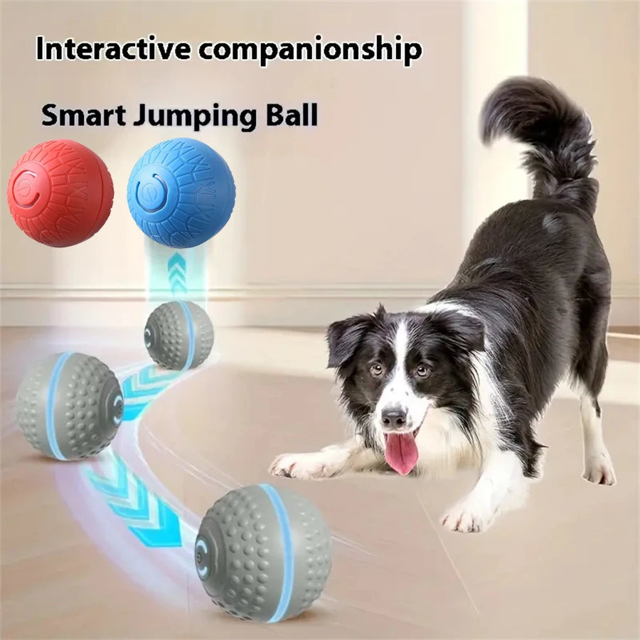 Automatic Dog Ball Toy | Interactive Moving Dog Toy UK