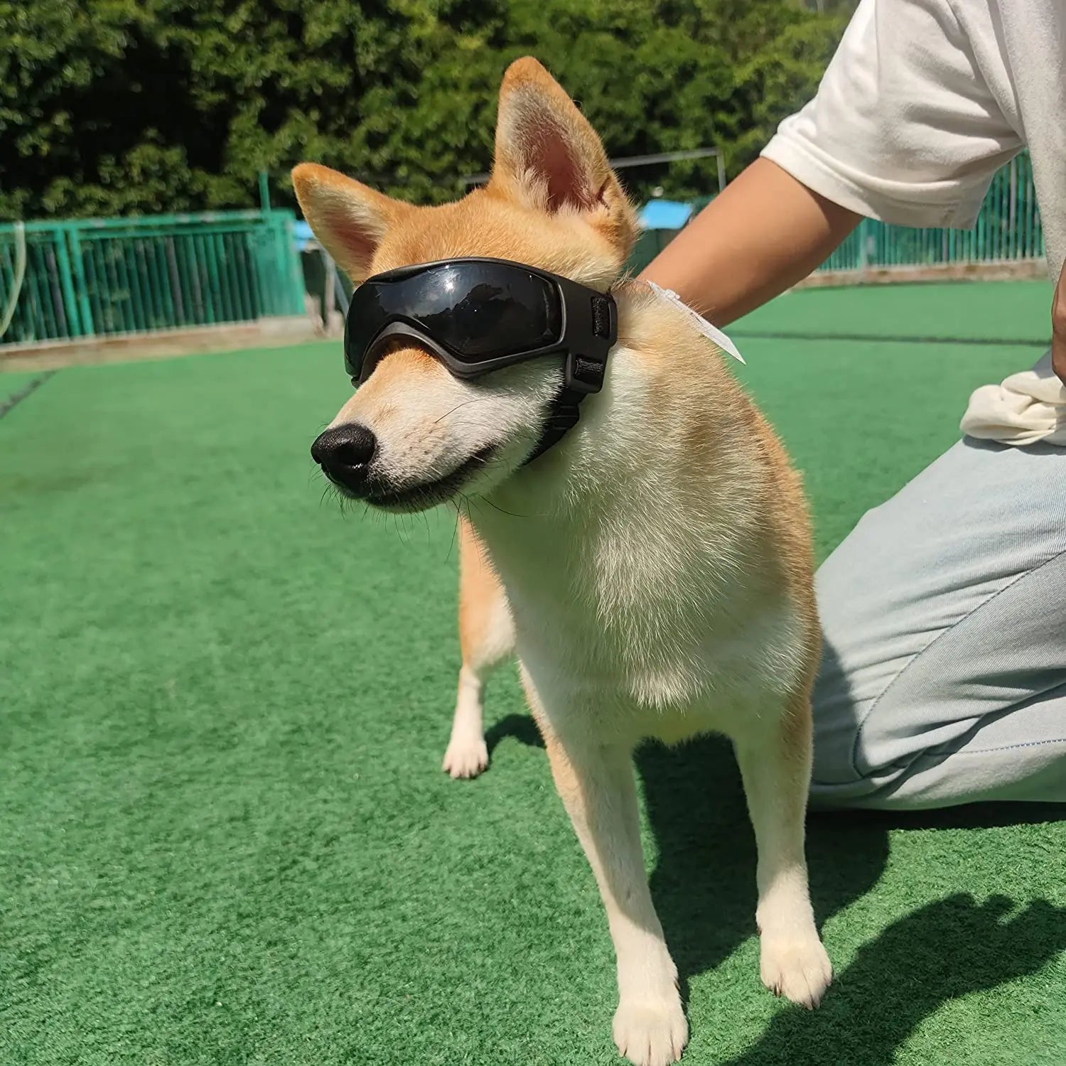 Dog Goggles Anti UV Adjustable Sunglasses for Small Medium Dogs Outdoor