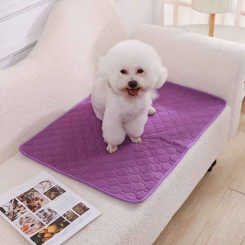 Reusable Dog Pee Pad | Waterproof Absorbent Training Mat