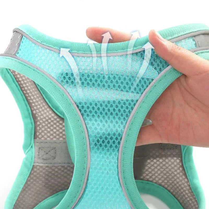 No-Pull Dog & Cat Harness & Lead Set | Adjustable Reflective Vest