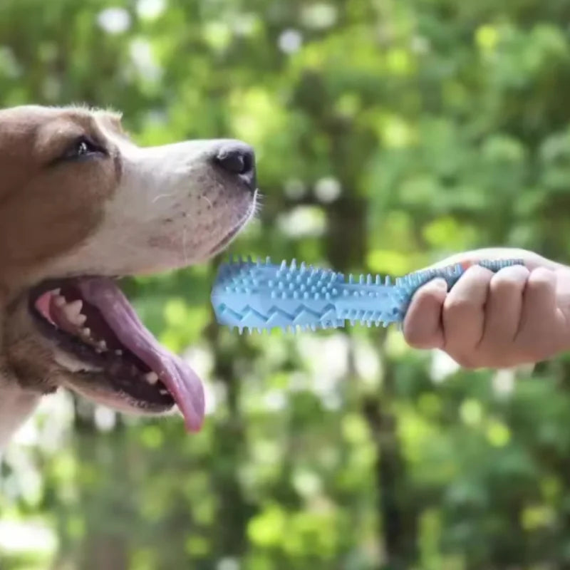 Dog Teething Chew Stick Bite Resistant Treat Dispensing Toy Leak Proof Design